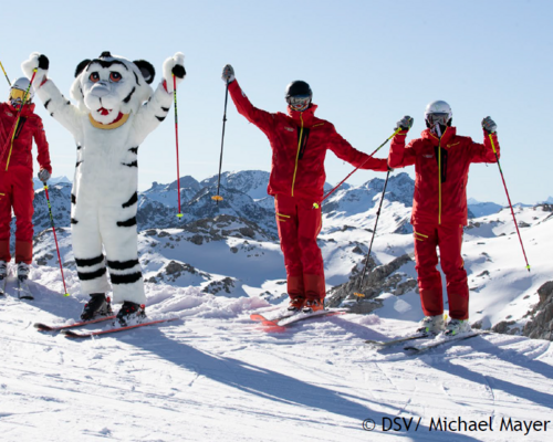 DSV-Vereinspreis 2025 powered by Viessmann