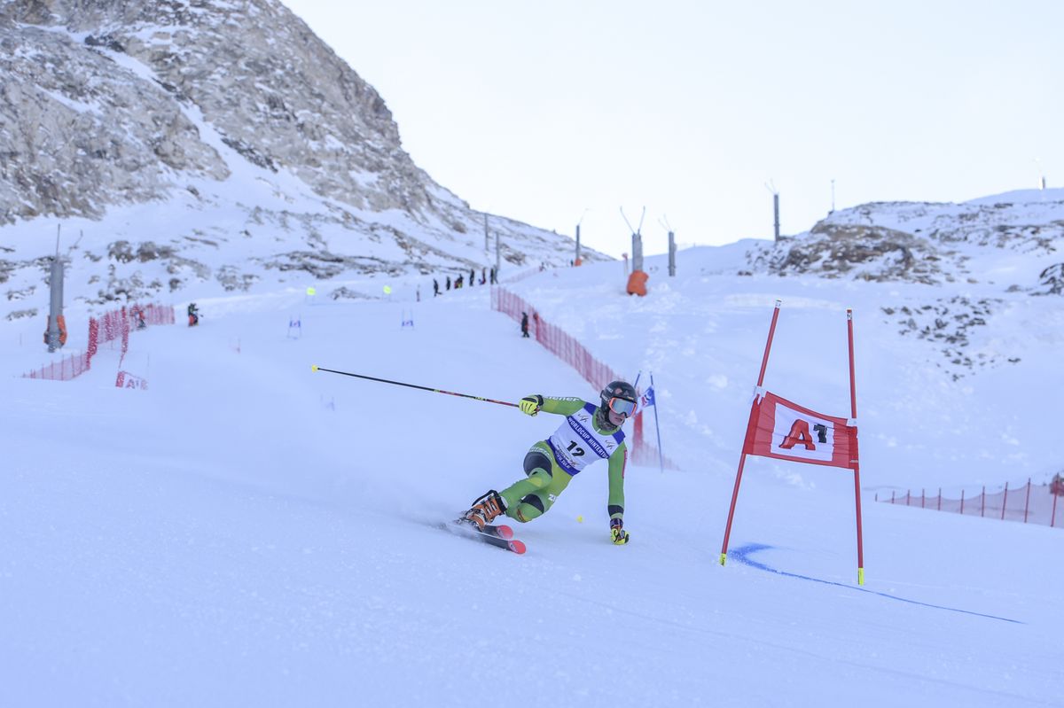 Telemarker Schwäbischer Skiverband e.V.: SSV-Telemarker mit starken Ergebnissen bei DM